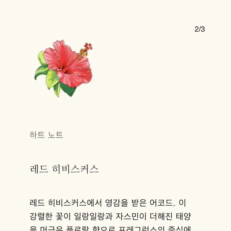 조말론 레드히비스커스 코롱 인텐스