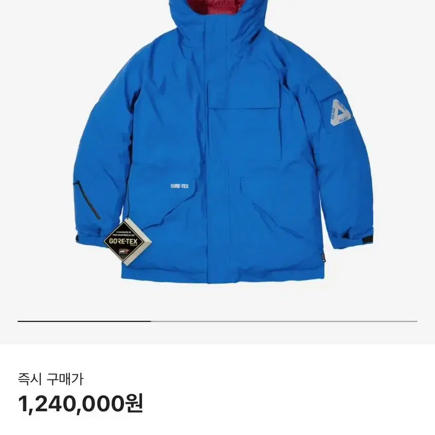 Palace artic 팔라스 고어텍스 패딩 파카 large