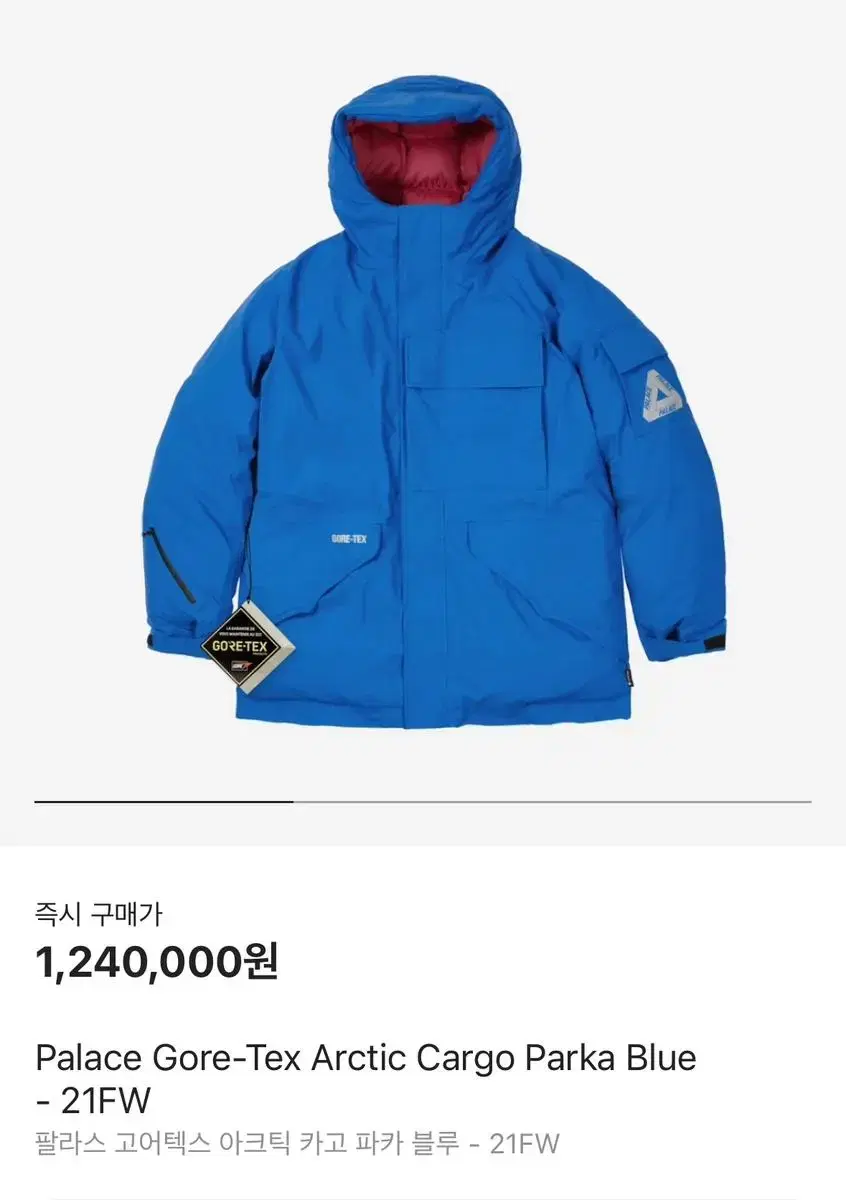 Palace artic 팔라스 고어텍스 패딩 파카 large