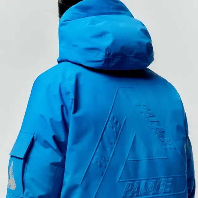 Palace artic 팔라스 고어텍스 패딩 파카 large