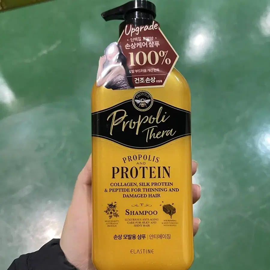 엘라스틴 프로폴리테라 건조 손상 모발 샴푸 500ml