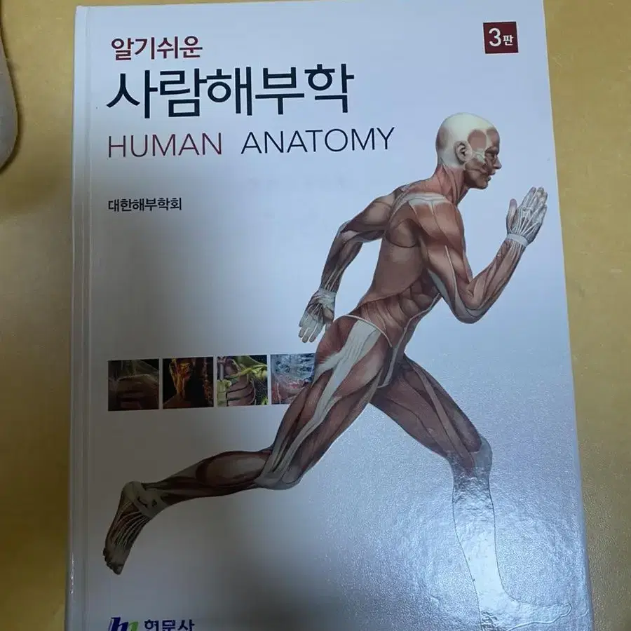 사람해부학, 건강사정, 간호사면접, 간호사자소서, 인체생리학