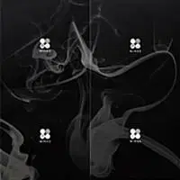 방탄소년단 - 정규 2집 WINGS [W/I/N/G 4종 중 랜덤발송