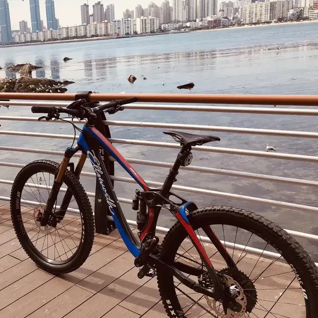 Mtb/풀샥/풀카본 Ellsworth bikes Rogue 60