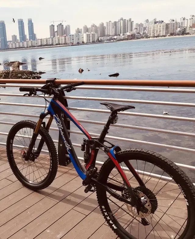 Mtb/풀샥/풀카본 Ellsworth bikes Rogue 60