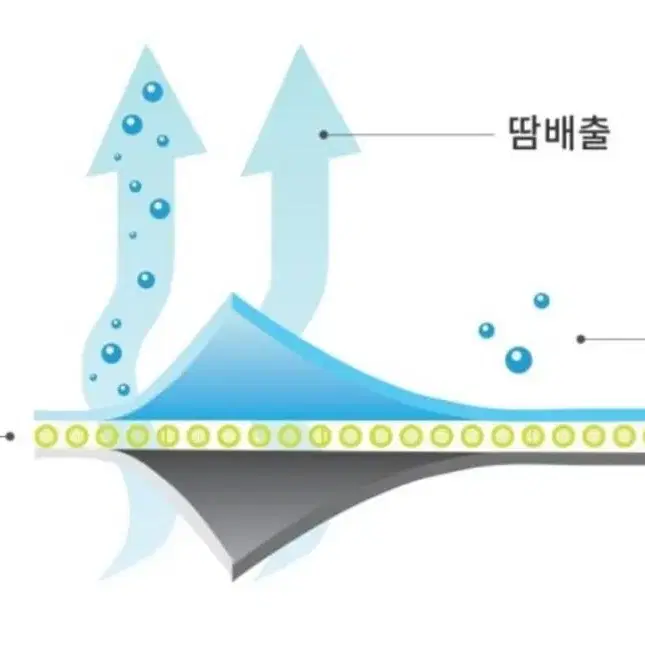 노페인노게인 워딩 바이오맥스 크로스핏 헬스 스포츠양말