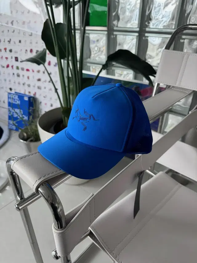 아크테릭스 버드 트럭커 캡 arcteryx bird trucker cap