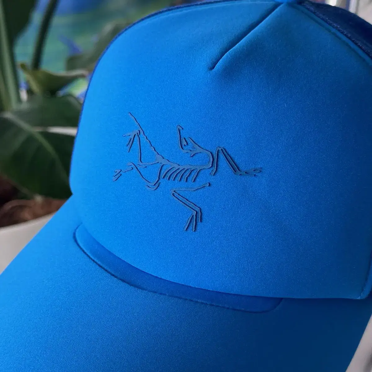 아크테릭스 버드 트럭커 캡 arcteryx bird trucker cap