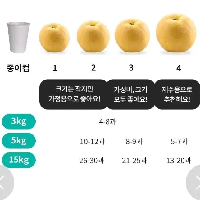 무배 나주배 특품 5kg 선물세트.명절.선물.과일.배