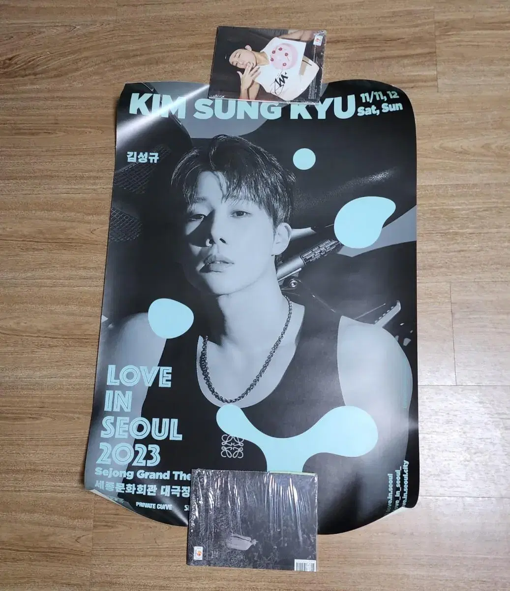 Infinite sungkyu kim sungkyu Love in Seoul Concert poster sell WTS