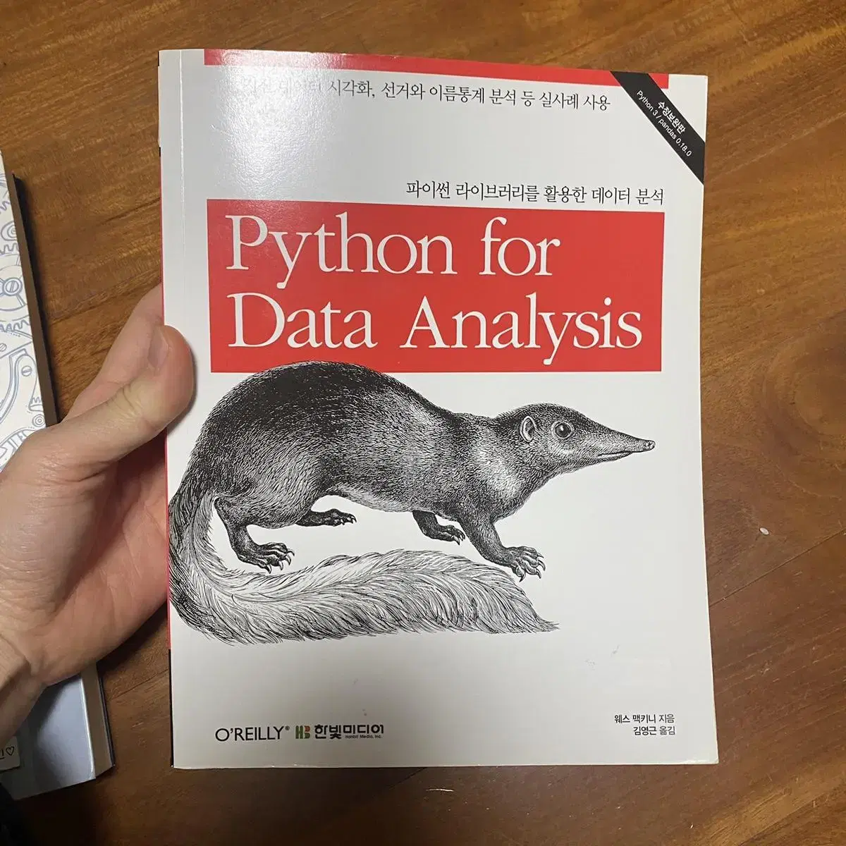 파이썬 python for data analysis