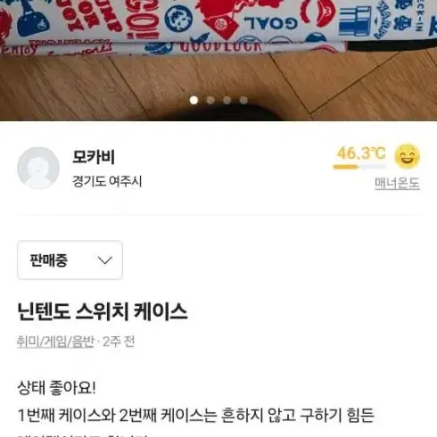 닌텐도 스위치 케이스