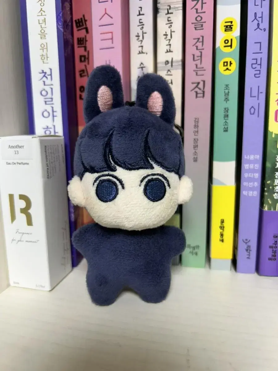 방탄 jungkook doll 꾸꾸오키링 꾸꾸