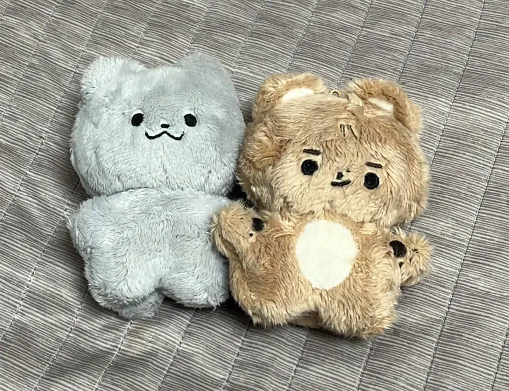 The Boyz hyunjae juyeon Dolls