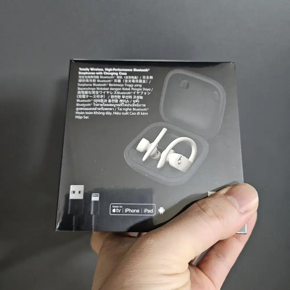 Apple Powerbeats Pro 파워비츠 프로