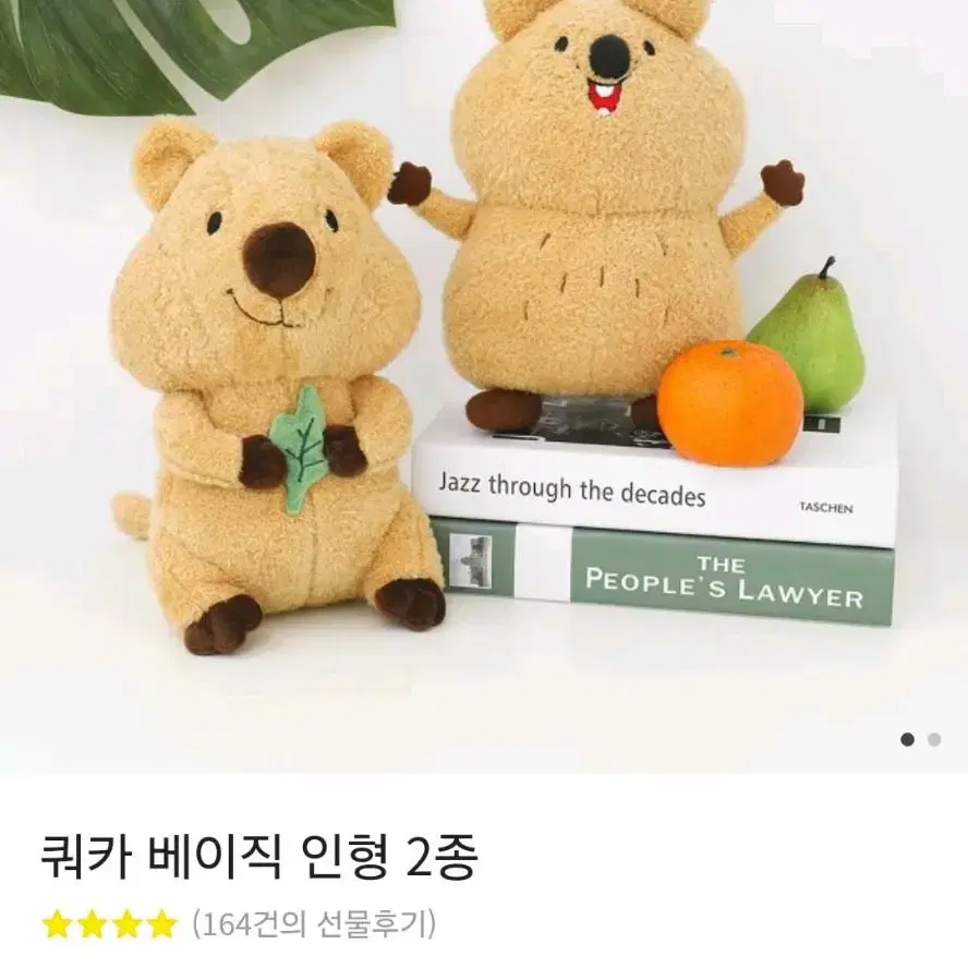 쿼카 인형 새제품