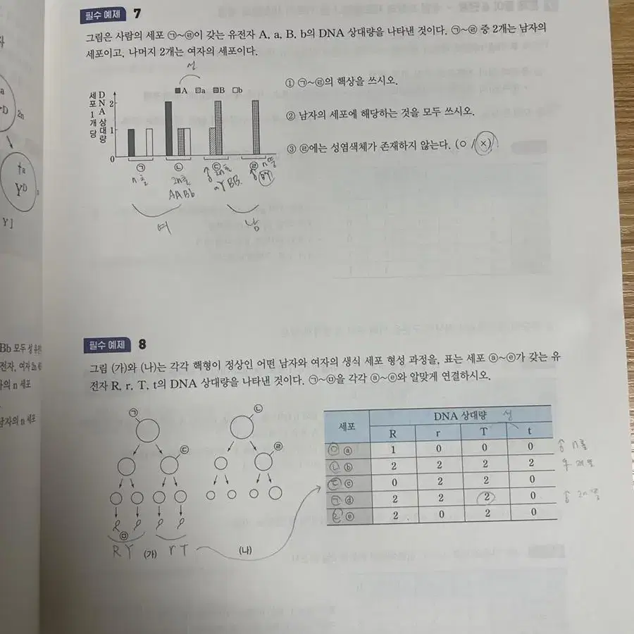 백호 상위권을 위한 크리티컬 스킬( 상크스 )