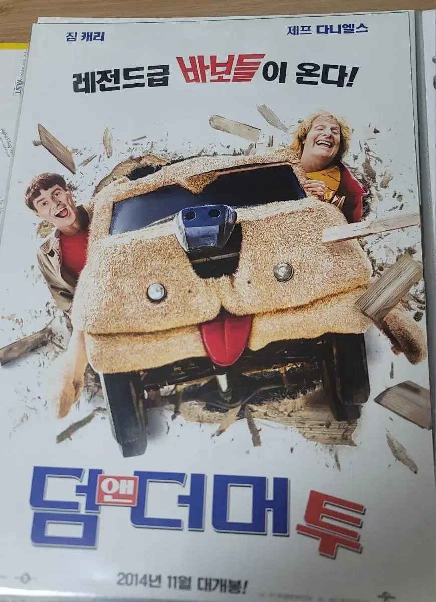 Dumb and Dumber to the Movies poster Pamphlet