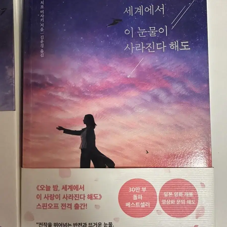 오늘밤, 세계에서 이 사랑이 사라진다 해도,오늘밤, 이 눈물이 사라진다