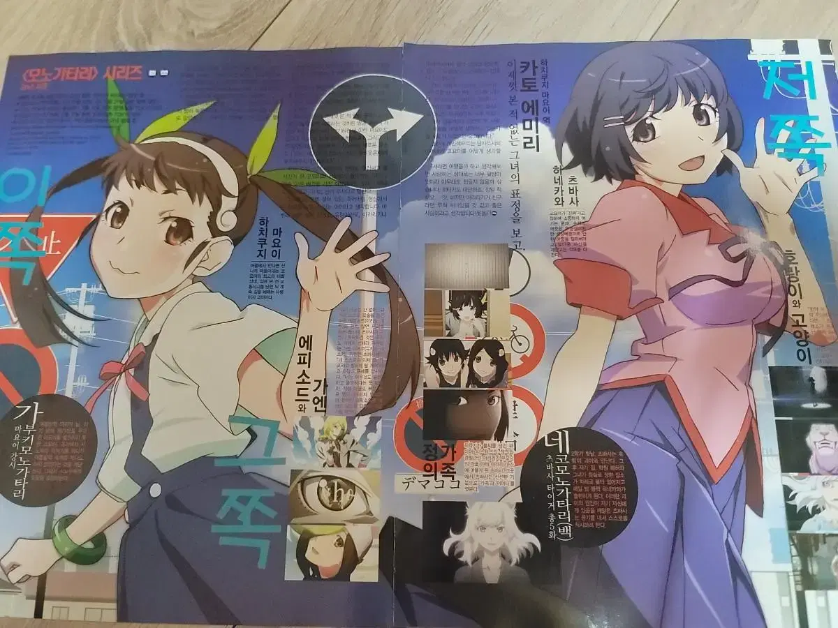 Monogatari series photo clipping