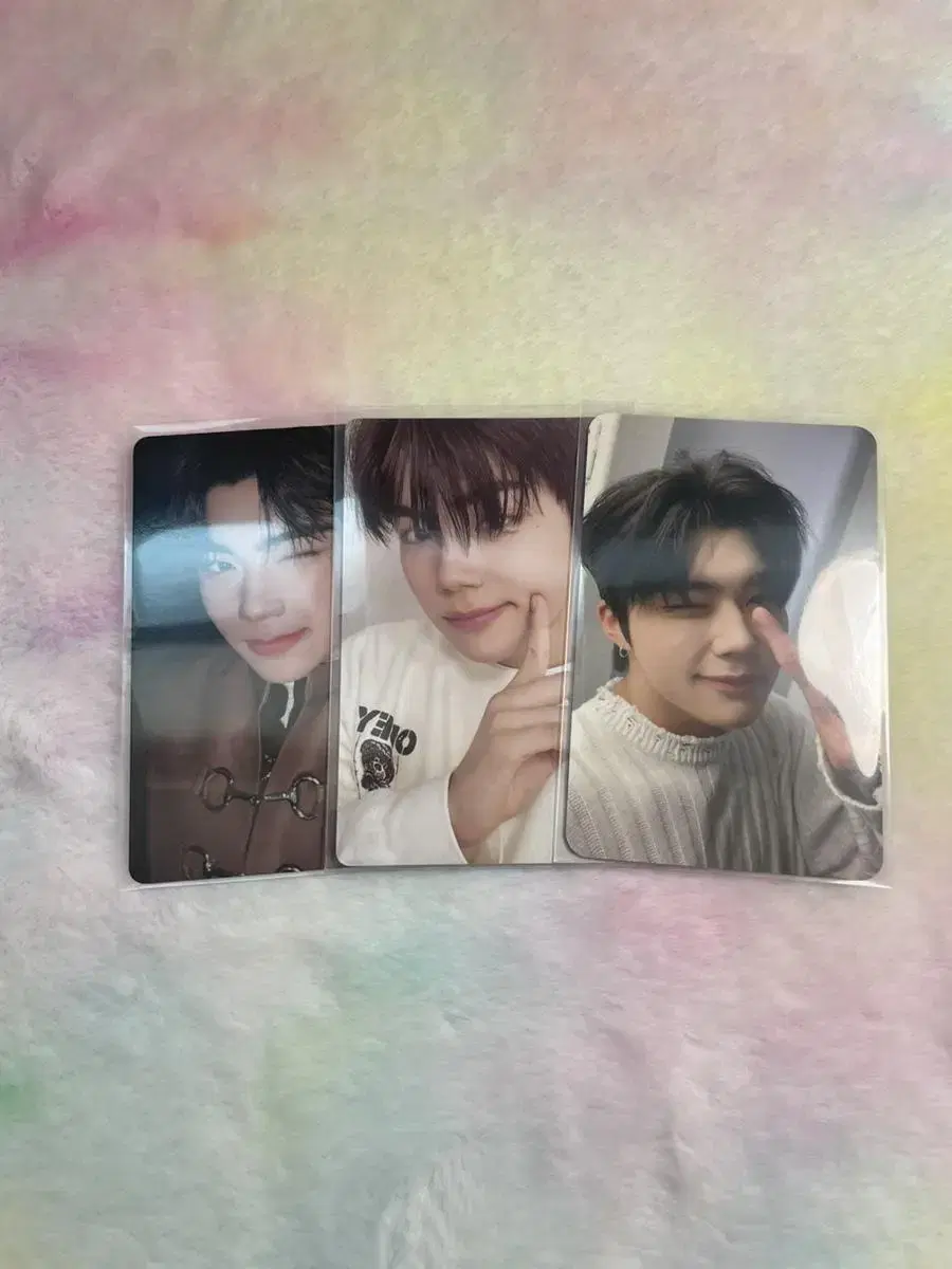 Park Gunwook photocard bulk WTS