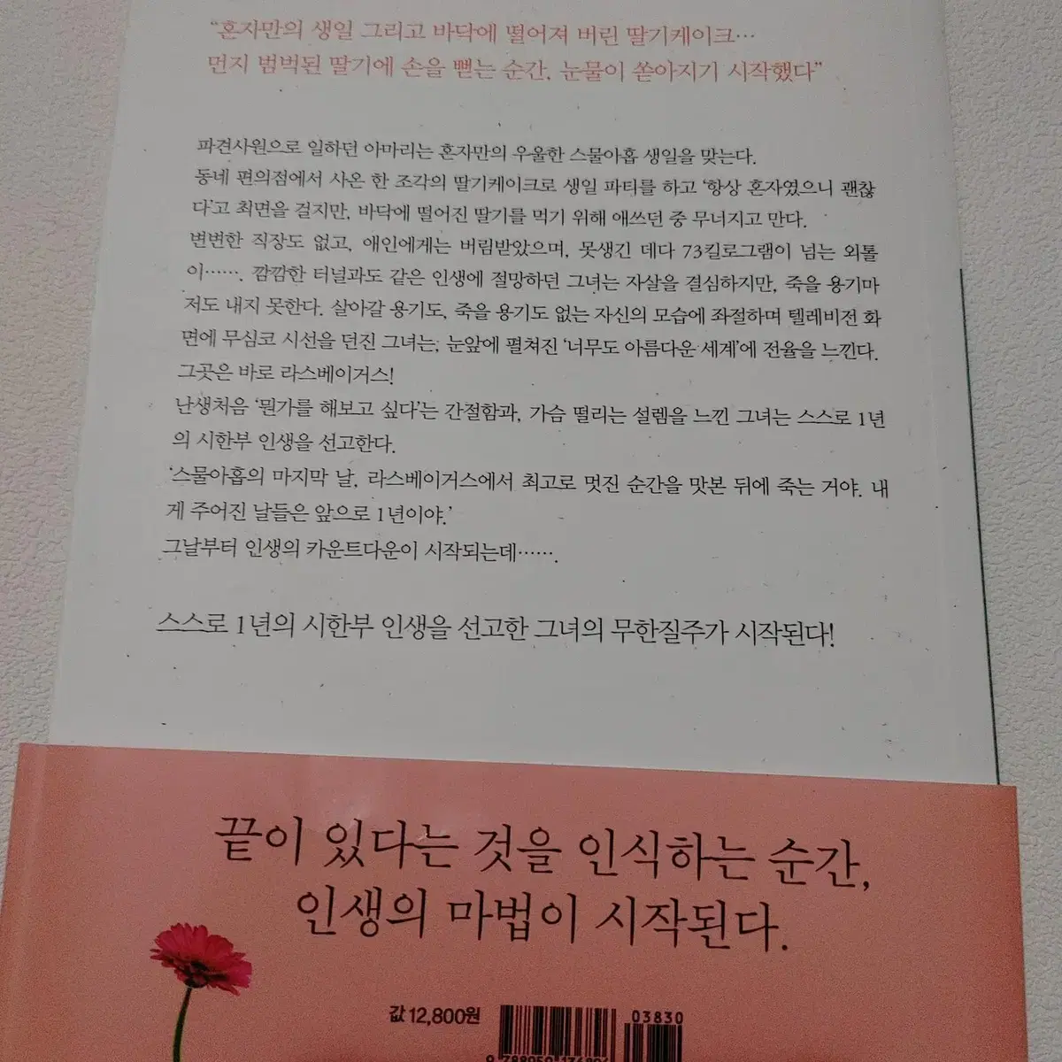 스물아홉 생일, 1년 후 죽기로 결심했다 에세이 도서 책