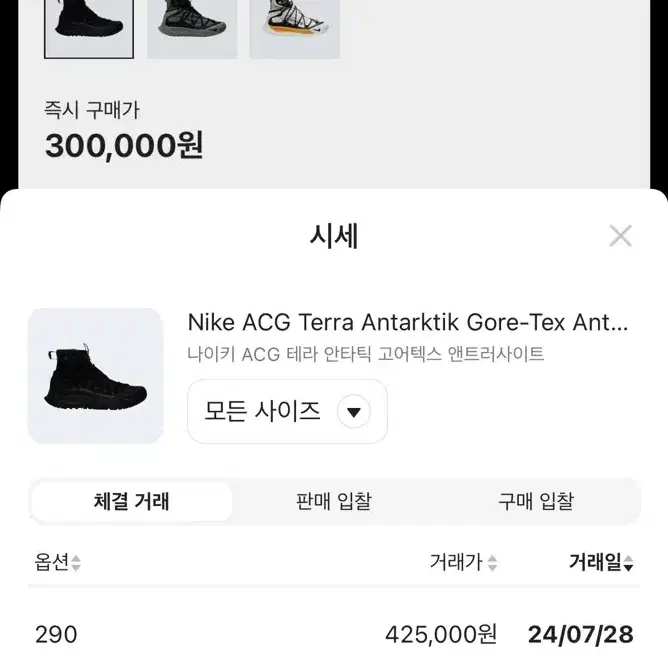 나이키 ACG 테라 안타틱 고어텍스 260