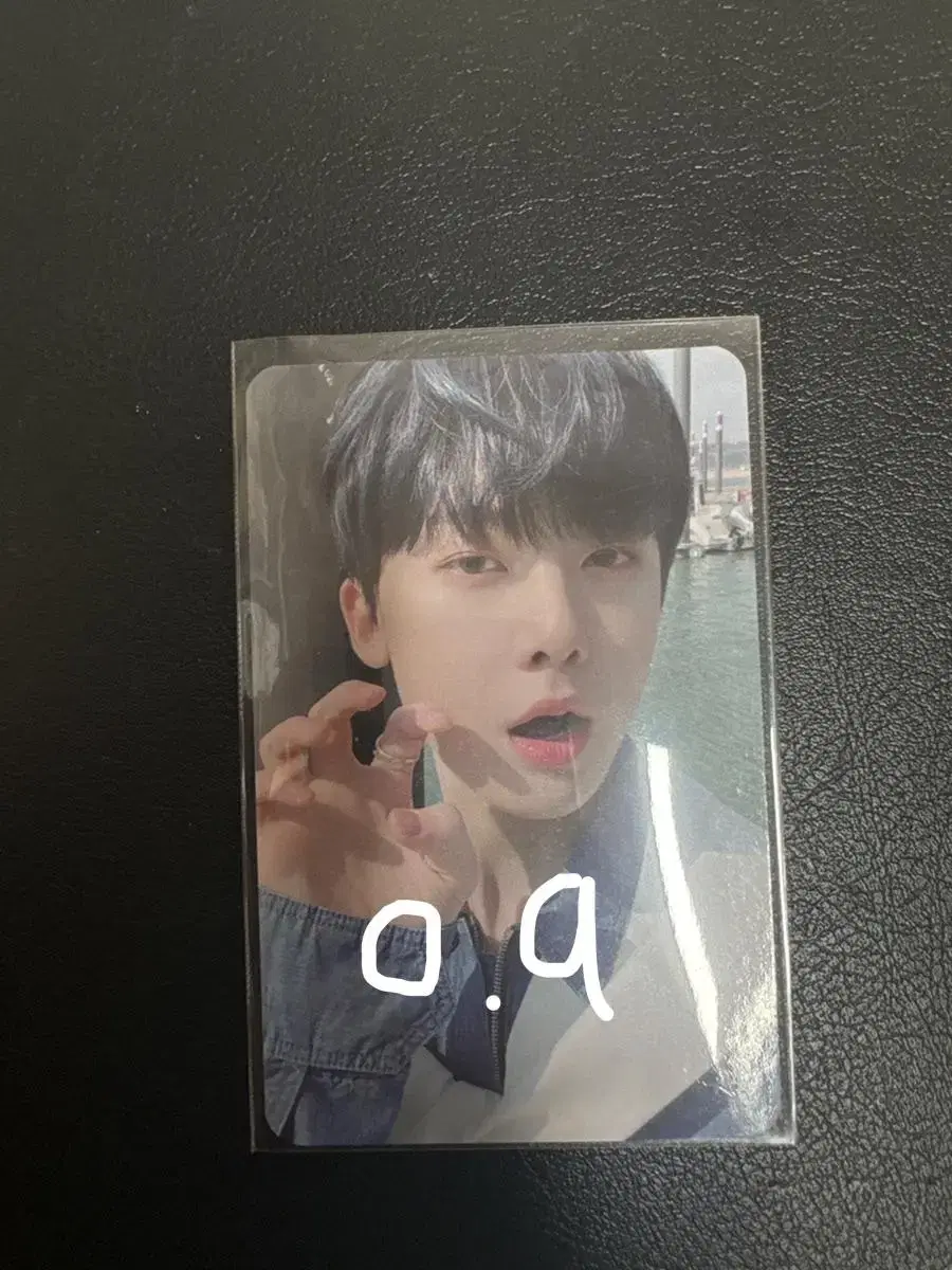 Dinosaur Sanha Photocard