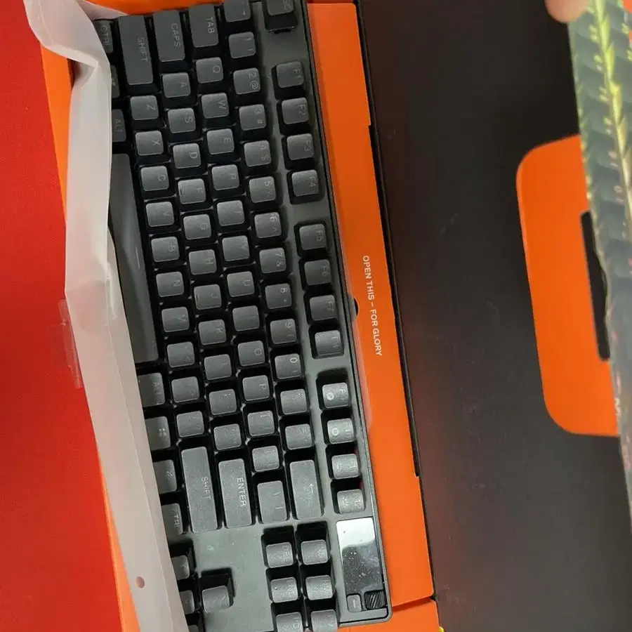 스틸시리즈 APEX Pro TKL