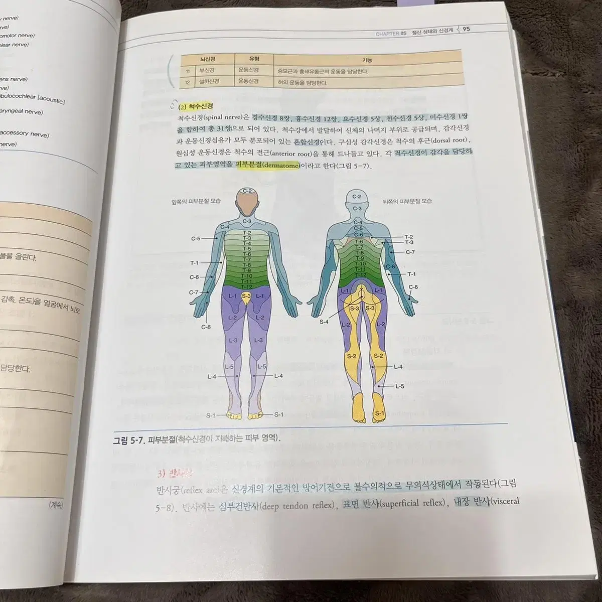 간호학과) 수문사 핵심건강사정