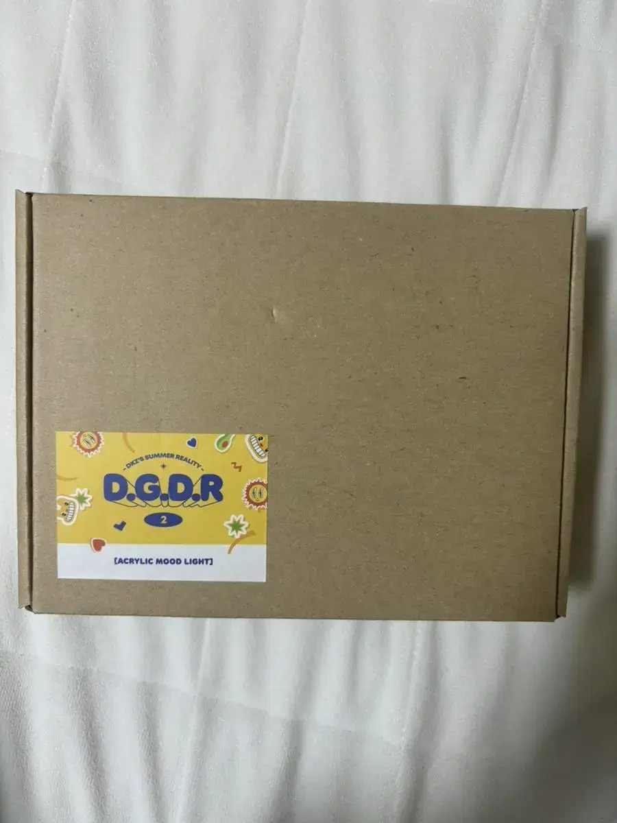 [급처/네고가능] DKZ의 동고동락 아크릴 무드등