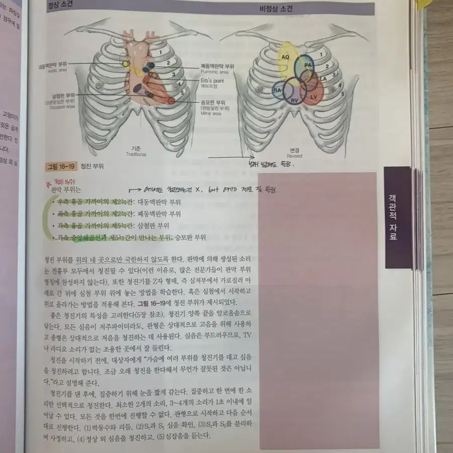 건강사정(무료배송)