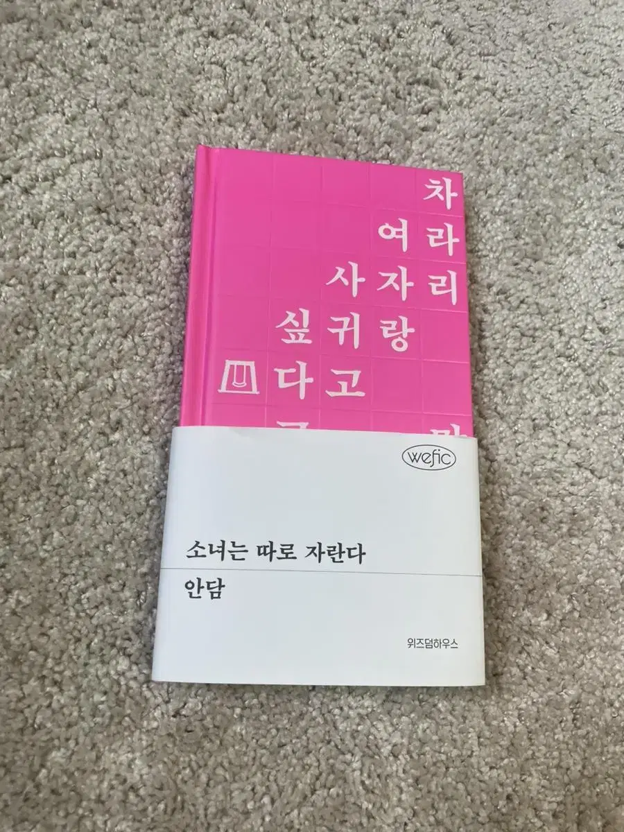 소녀는 따로 자란다 안담작가 소설책