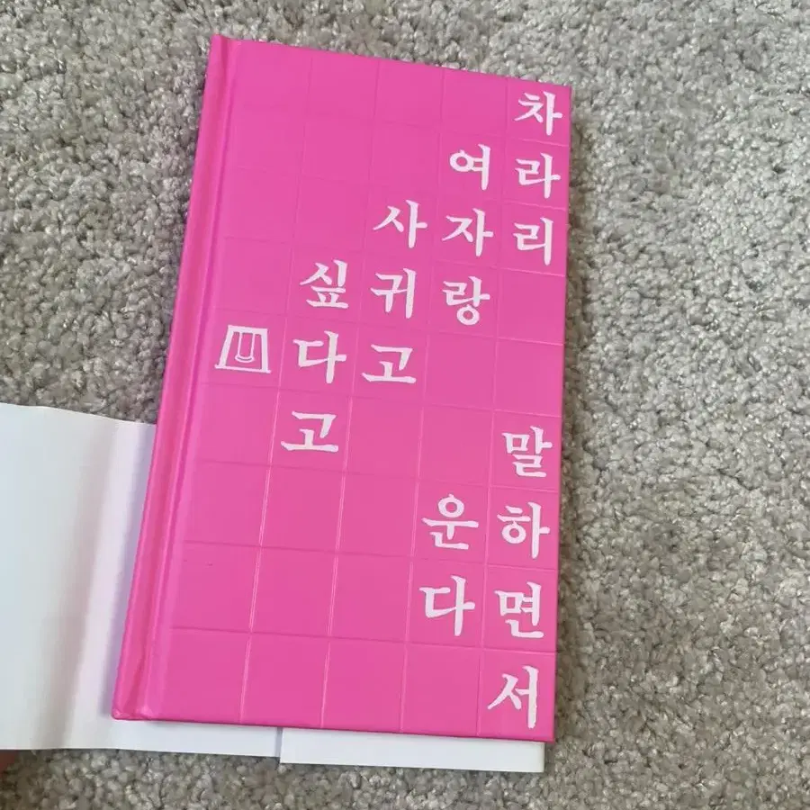 소녀는 따로 자란다 안담작가 소설책