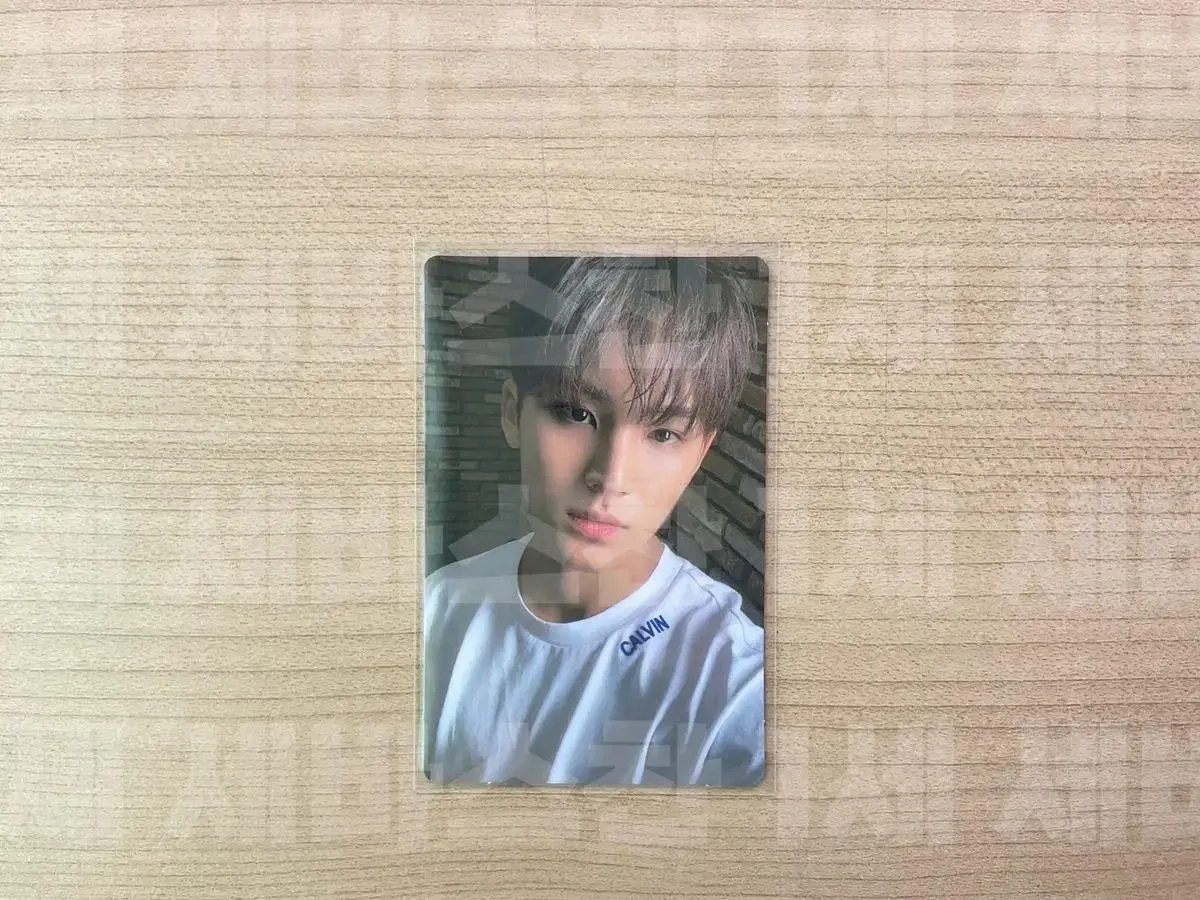 Seventeen Anode Biggin mingyu photocard