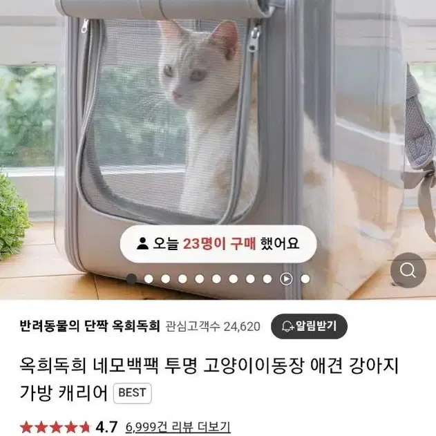 옥히독히 반려동물 강아지 고양이 백팩 캐리어 가방