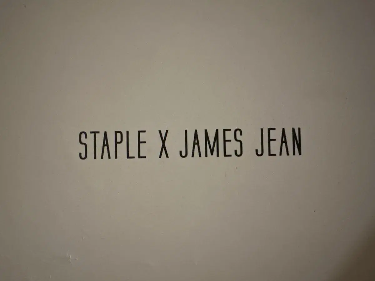 STAPLE x James Jean