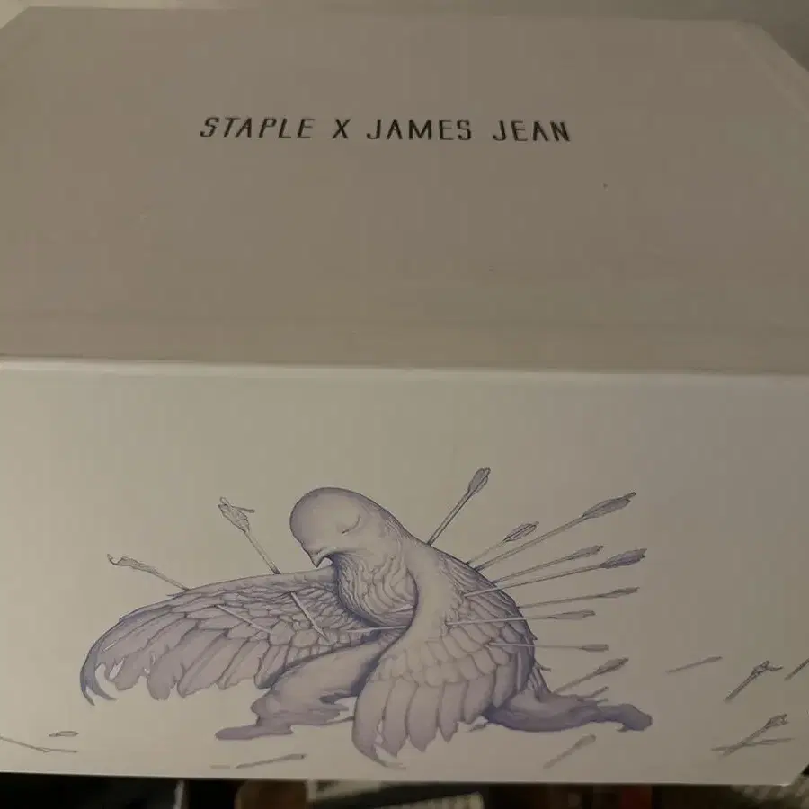 STAPLE x James Jean