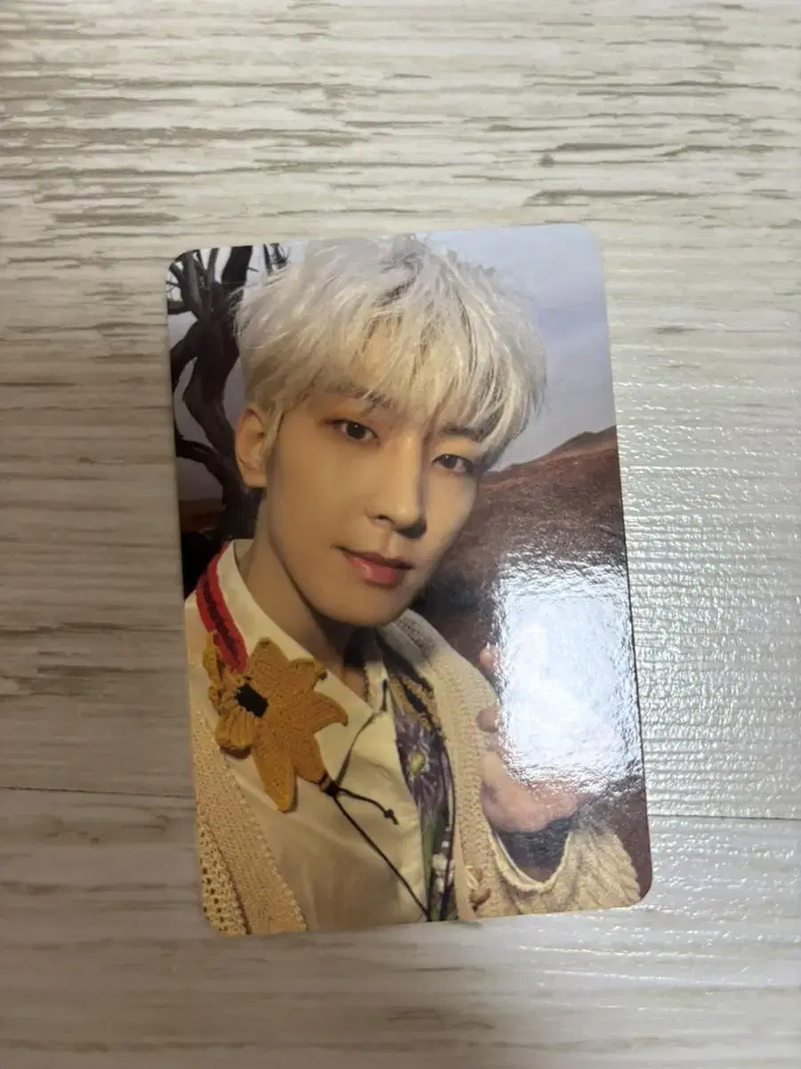 Wonwoo Face the Sun Photocard