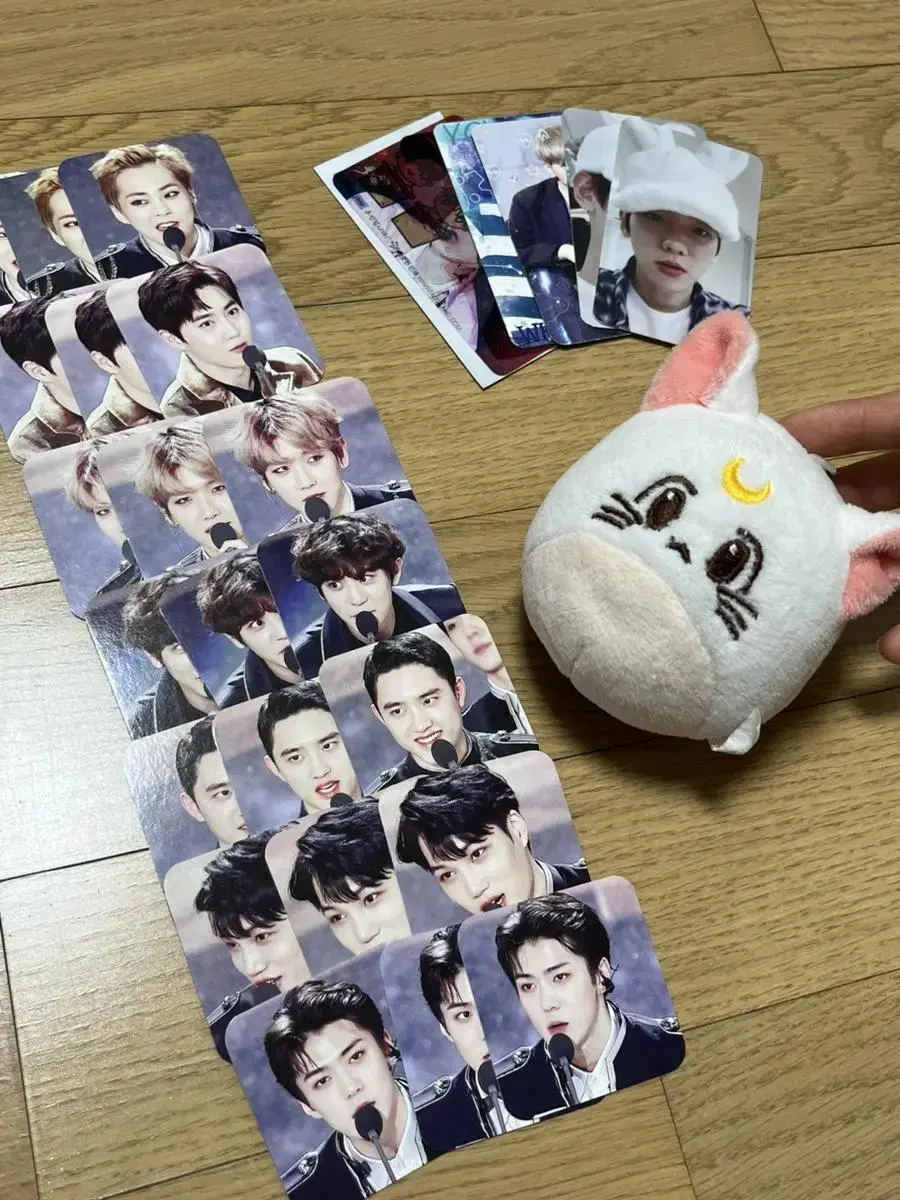 Exo unofficial goods sell Dalkungi wts doll Photocard