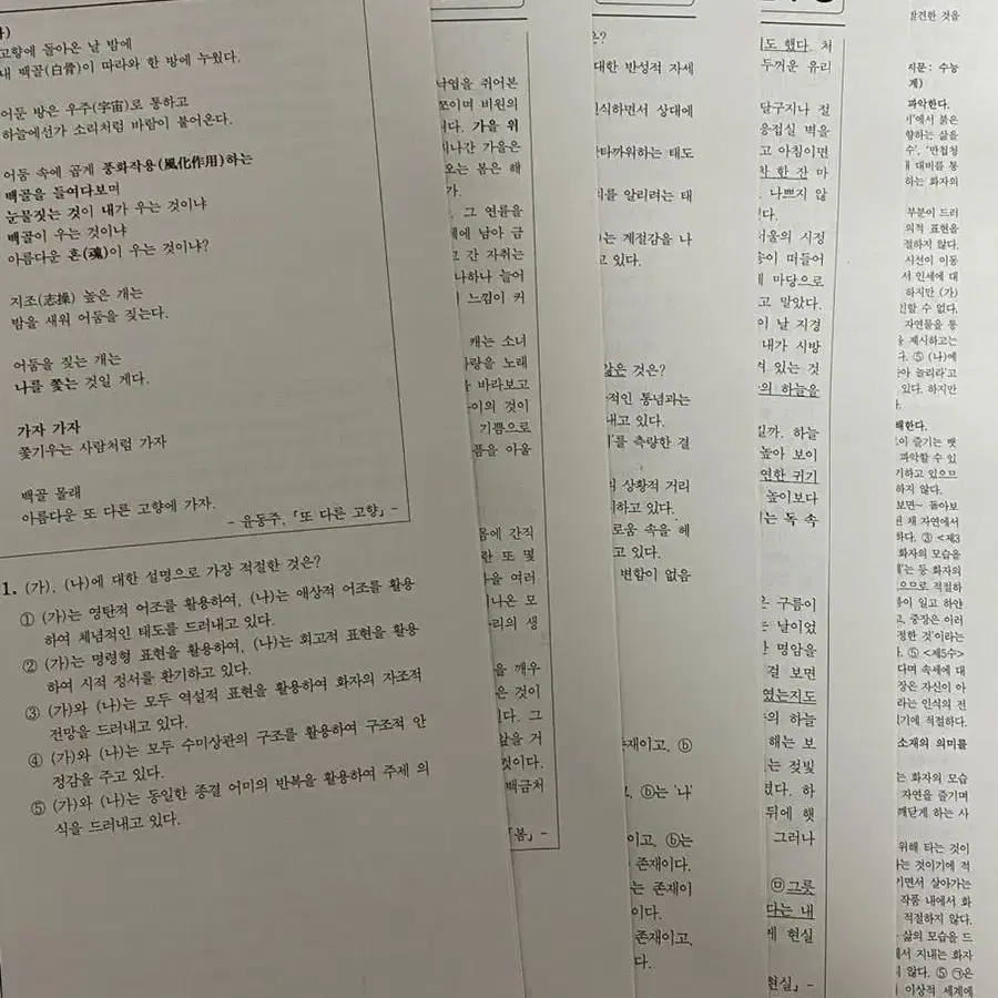 2023&2024 수능 모고