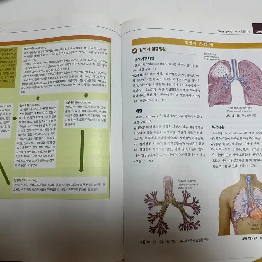 현문사 건강사정