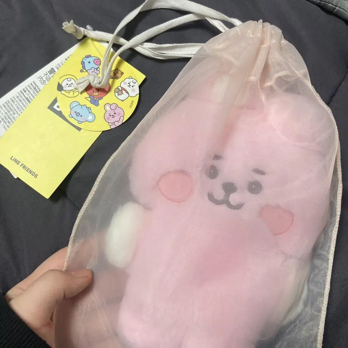 BT21 플랫퍼 쿠키 인형