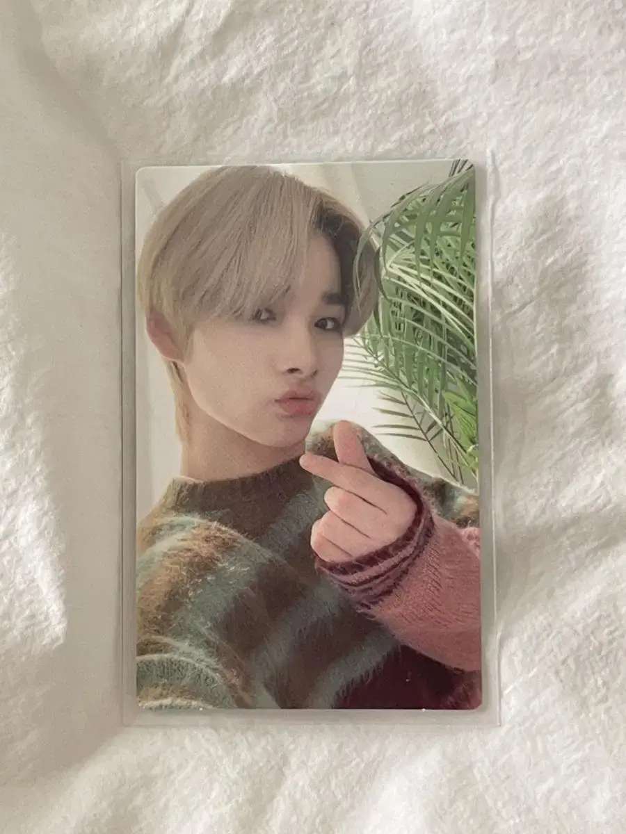 Enhypen EnConnect dvd ni-ki photocard wts