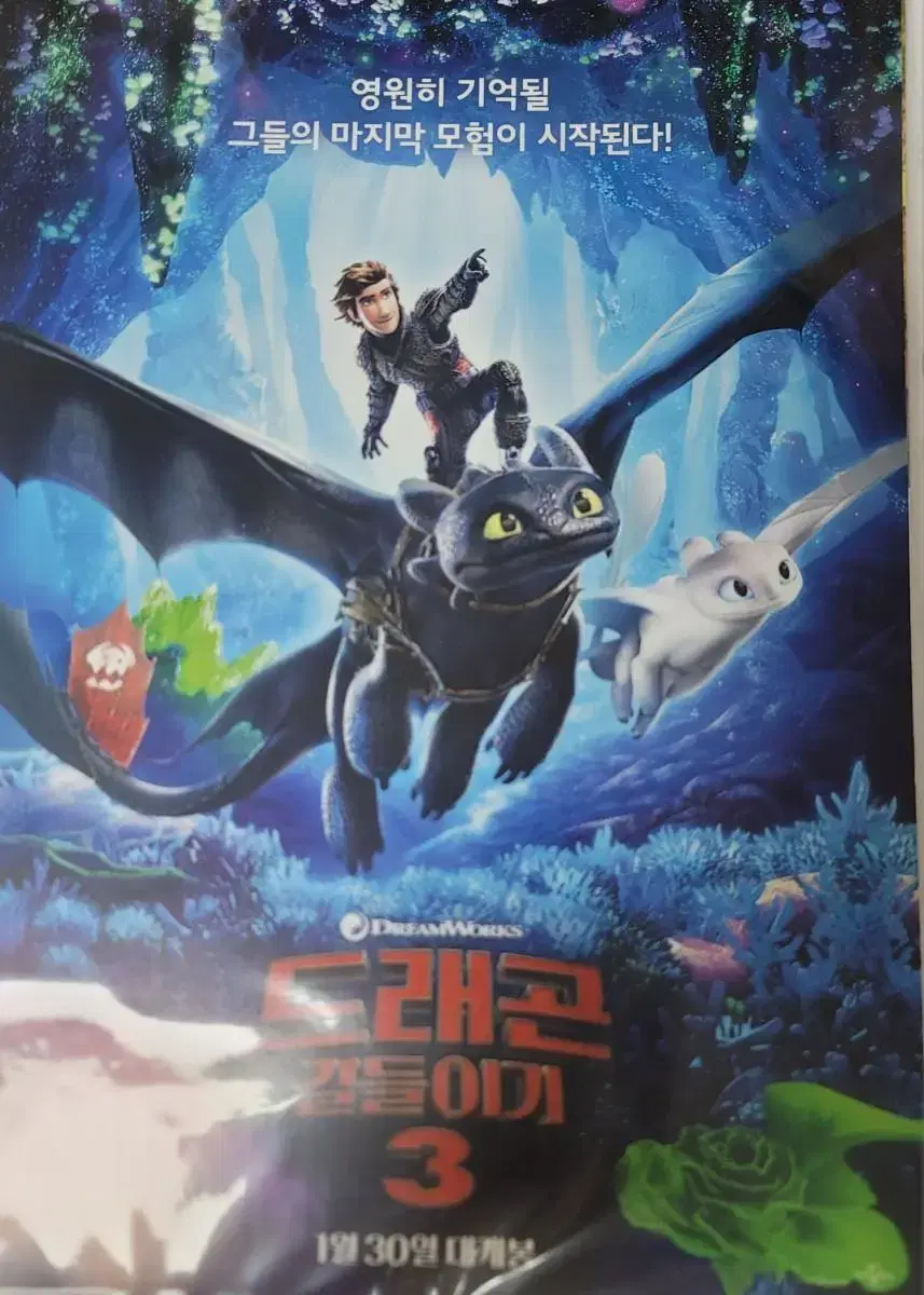 How to Train Your Dragon 3 movie poster pamphlet