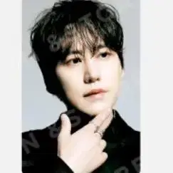 슈퍼주니어 규현 동해 희철 망고 바인더 포카 Binder Kyuhyun