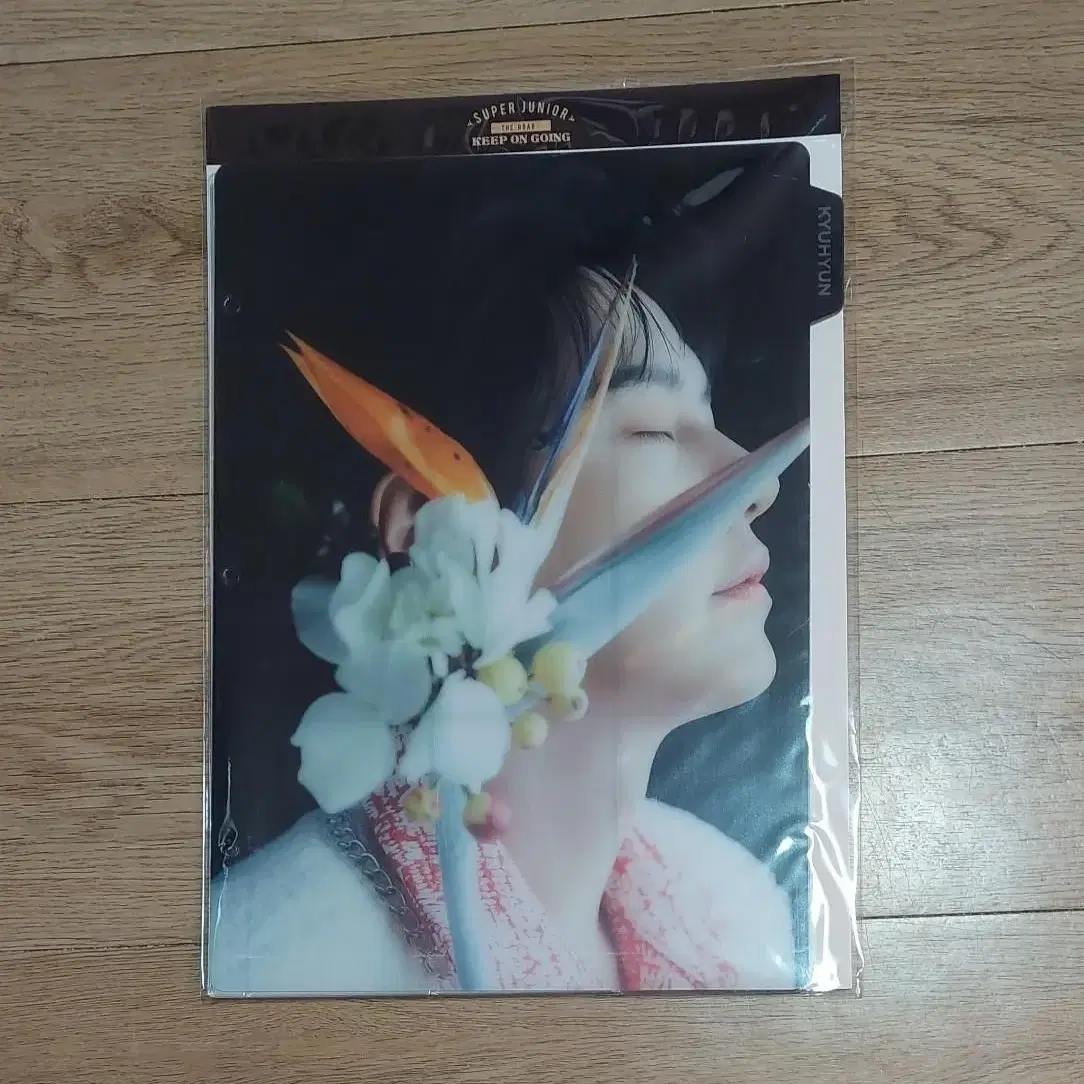 슈퍼주니어 규현 망고 바인더 인덱스 Kyuhyun Binder Index