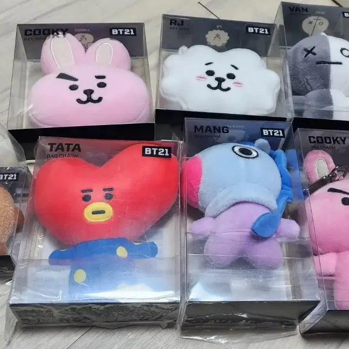 방탄소년단 BT21 백참, 키링