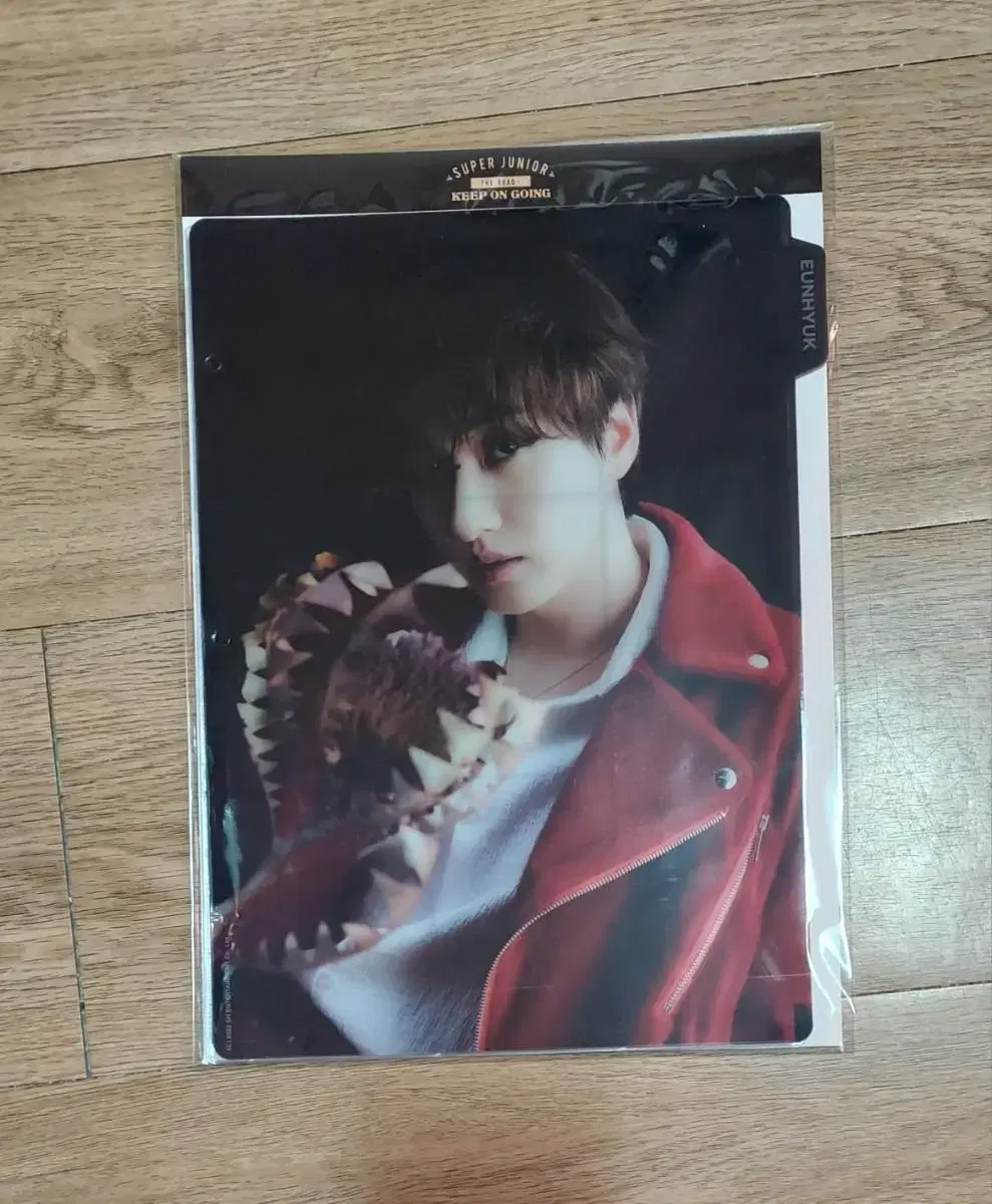 슈퍼주니어 은혁 망고 바인더 인덱스 Eunhyuk Binder Index