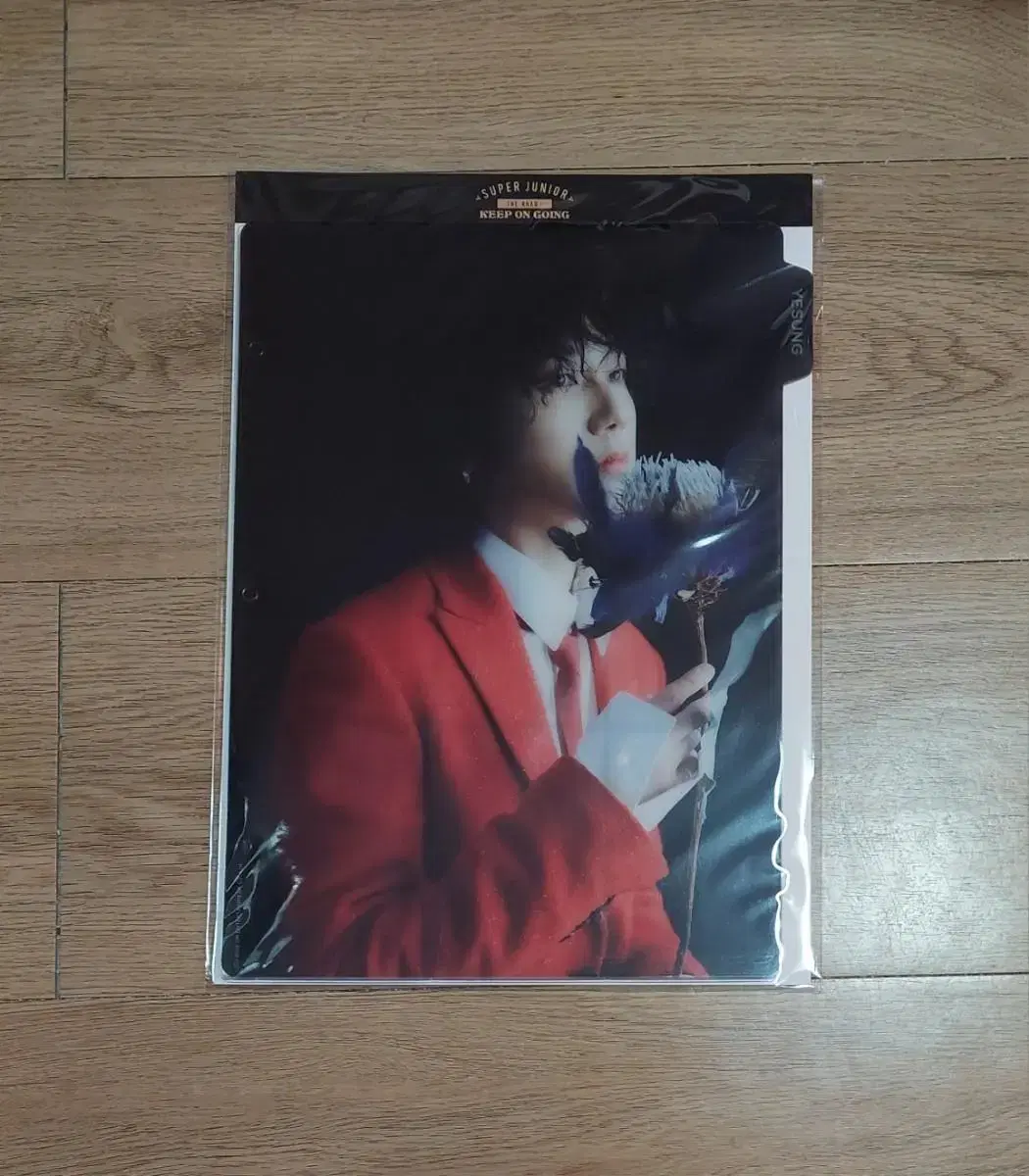 슈퍼주니어 예성 망고 바인더 인덱스 Yesung Binder Index